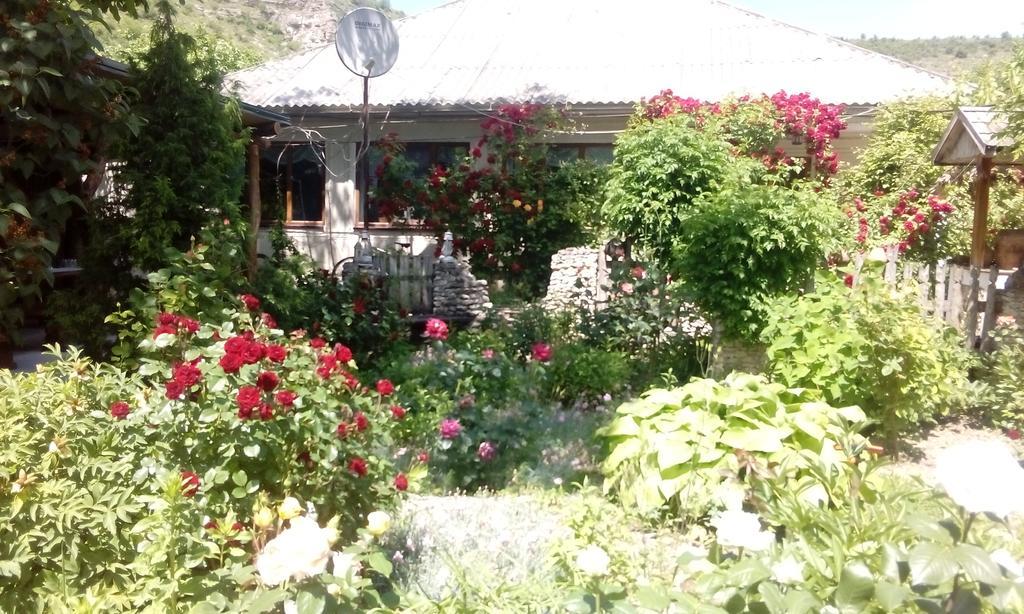 La Popas Hotel Орхей Екстериор снимка